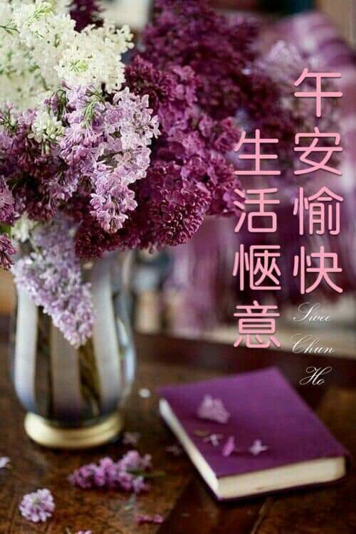 午安圖下載